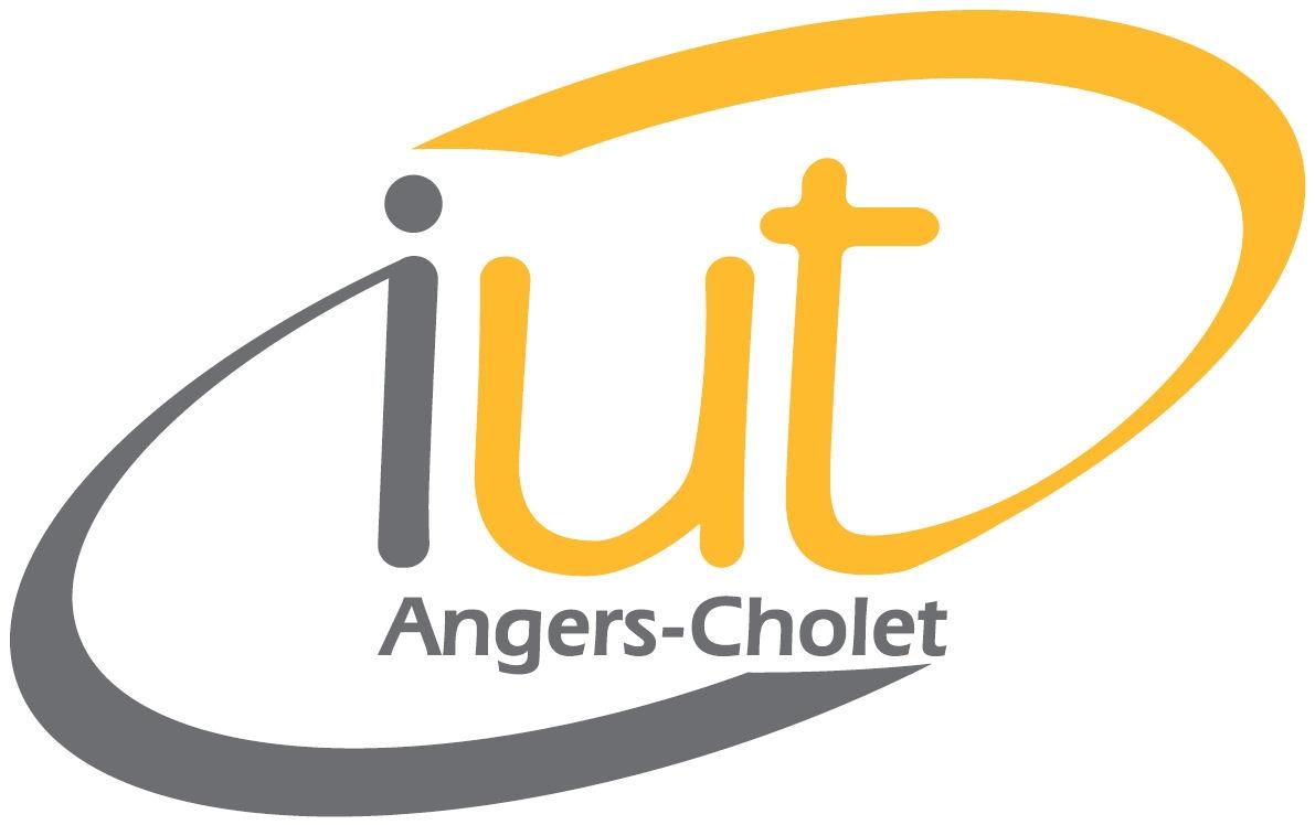 iut angers cholet